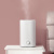 Увлажнитель воздуха Xiaomi Mijia Air Humidifier (MJJSQ02LX), White CN