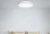 Потолочная лампа Xiaomi Yeelight Ceiling Light C2001C550 -550mm (YLXD037)